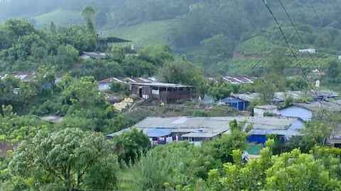 ദേവികുളത്ത് പട്ടയം ലഭിച്ചിട്ടും ഭൂമിയില്ലാതെ കുടുംബങ്ങൾ; റവന്യു വകുപ്പ് നൽകിയത് ചതുപ്പ് നിലമെന്ന് പരാതി  