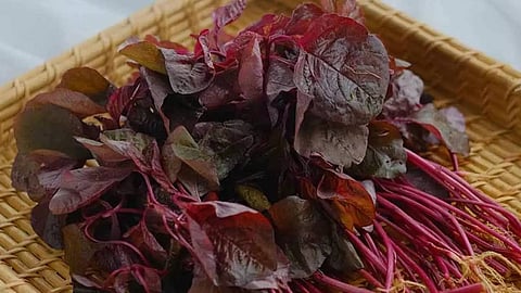 Do not refrigerate leafy vegetables