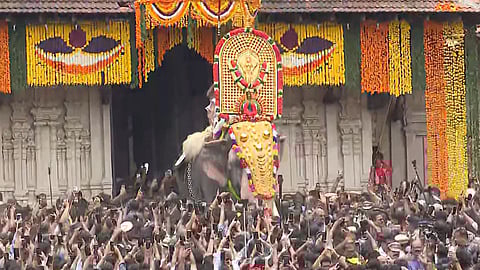 നെയ്തലക്കാവിലമ്മയുടെ തിടമ്പേറ്റി 
എറണാകുളം ശിവകുമാര്‍; 
തൃശൂര്‍ പൂര വിളംബരമായി