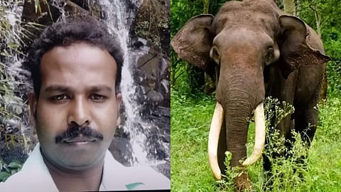 കാട്ടാന ആക്രമണത്തിൽ മരിച്ച രവി