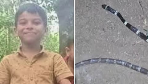 സർക്കാരിൻ്റെ കൈത്താങ്ങ്; കോടാലിയിൽ പാമ്പുകടിയേറ്റ  അനോഷിൻ്റെ ചികിത്സാ ചെലവ് സർക്കാർ വഹിക്കും