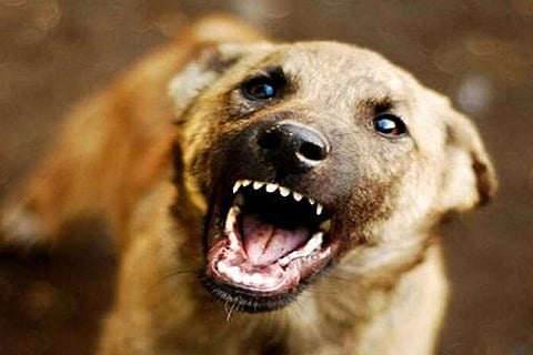 പ്രതീകാത്മക-ചിത്രം