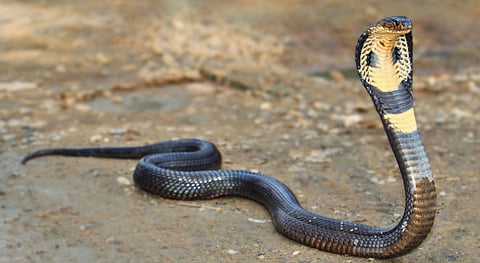 പ്രതീകാത്മക ചിത്രം