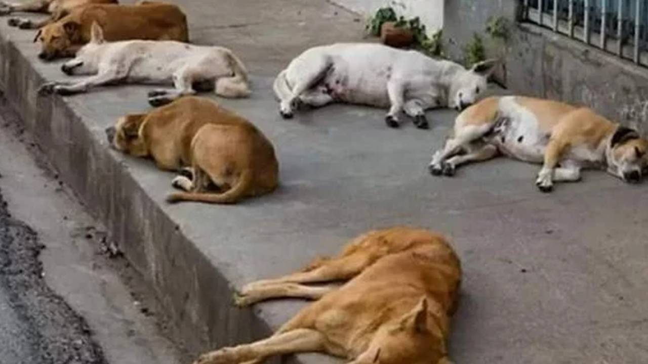 ABC Centers' operations have become erratic