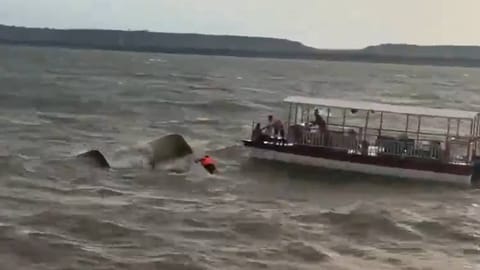 മധ്യപ്രദേശിൽ ബോട്ട് മുങ്ങി4 പേർക്ക് ദാരുണാന്ത്യം; നിരവധി പേരെ കാണാതായി