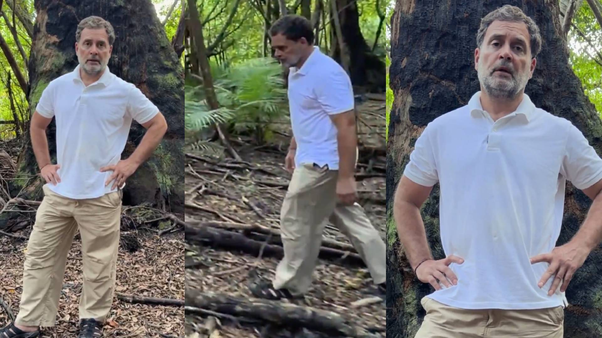 "അദാനിയുടെ മനോരാജ്യം പൂവണിയാൻ മഴക്കാടുകൾ വെട്ടുന്നു"; 'ഗ്രേറ്റ് നിക്കോബാർ' ഏറ്റവും വലിയ അഴിമതികളിൽ ഒന്നെന്ന് രാഹുൽ ഗാന്ധി