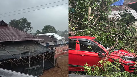 വേനൽ മഴ കനത്ത് തന്നെ; തൃശൂരിൽ വ്യാപക നാശനഷ്ടം