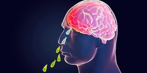 സംസ്ഥാനത്ത്  വീണ്ടും അമീബിക് മസ്‌തിഷ്ക ജ്വരം