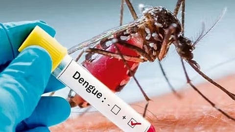 എറണാകുളം ജില്ലയിൽ ഡെങ്കിപ്പനി ഭീഷണി വ്യാപകമാകുന്നു