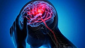 അമീബിക് മസ്തിഷ്ക ജ്വരം: കോഴിക്കോട് ചികിത്സയിലുള്ള കുട്ടിയുടെ സാമ്പിൾ വീണ്ടും പരിശോധനയ്ക്ക് അയക്കും