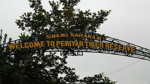 പെരിയാർ ടൈഗർ കൺസർവേഷൻ ഫൗണ്ടേഷൻ