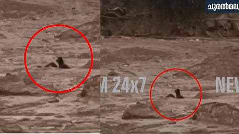 ചൂരല്‍മല ദുരന്തം: മണിക്കൂറുകളോളം ചളിയില്‍ കുടുങ്ങിക്കിടന്ന യുവാവിനെ രക്ഷപ്പെടുത്തി സുരക്ഷാസേന