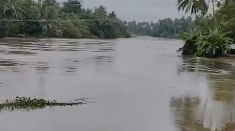 പ്രതീകാത്മക ചിത്രം