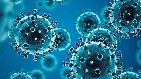 കോവിഡിൻ്റെ തീവ്ര വകഭേദങ്ങളെത്തുന്നു:ജാഗ്രതാ നിർദേശവുമായി ലോകാരോഗ്യ സംഘടന