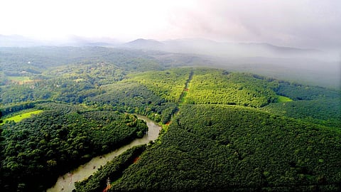 ശബരിമല വിമാനത്താവളം: സ്ഥലമേറ്റെടുപ്പ് വിജ്ഞാപനത്തിനൊപ്പം വിശദമായ പദ്ധതിരേഖയും പുറത്തിറക്കും