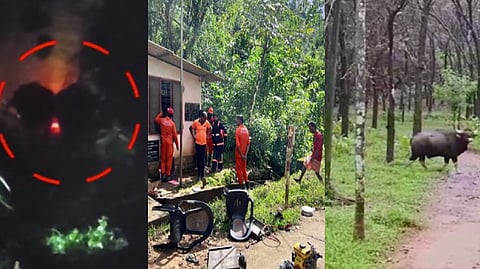 കോതമംഗലത്ത് ജനവാസമേഖലയിൽ ആശങ്കപരത്തി വന്യമൃഗങ്ങൾ; പ്രതിഷേധവുമായി ആദിവാസി യുവാവ്