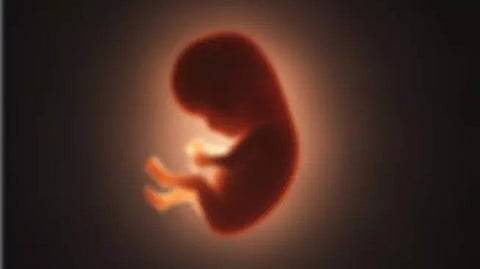 തിരുവല്ലയിൽ ഗർഭസ്ഥ ശിശു ചവിട്ടേറ്റു മരിച്ചു; അമ്മയുടെ ആൺ സുഹൃത്ത് അറസ്റ്റിൽ