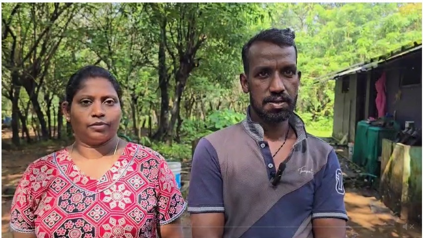 ദമ്പതികൾക്ക് നേരെ കാട്ടാന ആക്രമണം; ഫോറസ്റ്റ് ഉദ്യോഗസ്ഥർ എത്താൻ വൈകിയെന്ന് പരാതി