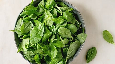 ശരീരത്തിൽ അയൺ ഇല്ലേ? ഇവ കഴിച്ച് നോക്കൂ...