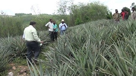 നിർദിഷ്ട ശബരിമല വിമാനത്താവളം; സമൂഹികാഘാത പഠനം ഈ മാസം ആരംഭിക്കും