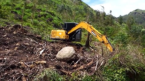 ചൊക്രമുടിയിൽ നീലക്കുറിഞ്ഞികൾ നശിപ്പിച്ച സംഭവം; ബൈസൺവാലി പഞ്ചായത്തിന്  സംസ്ഥാന ജൈവ വൈവിധ്യ ബോർഡിന്റെ കത്ത്