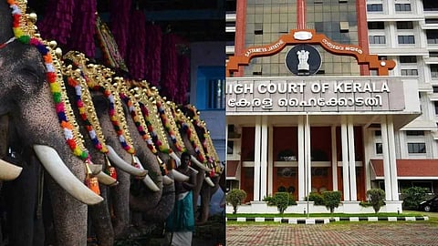 സ്വകാര്യ ചടങ്ങുകൾക്കും ഉദ്ഘാടനങ്ങൾക്കും ആനകളെ ഉപയോഗിക്കരുത്; ശുപാർശയുമായി അമിക്കസ് ക്യൂറി