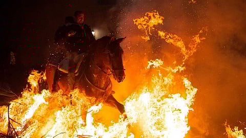 കത്തി ജ്വലിക്കുന്ന തീയിൽനിന്ന് കുതിച്ചുപായുന്ന കുതിരകൾ; ലോകത്തെ അതിശയിപ്പിച്ച് സ്പെയിനിലെ ലാസ് ലുമിനാരിയസ്