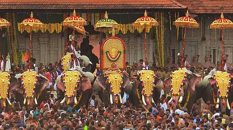 തൃശൂർ പൂരം വെടിക്കെട്ട് നിയമം പാലിച്ചാകും നടത്തുകയെന്ന് സർക്കാർ; രണ്ട് ആക്ടുകള്‍ പാലിക്കണമെന്ന് ഹൈക്കോടതി നിർദേശം