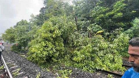 കോഴിക്കോട് വീണ്ടും റെയിൽവേ ട്രാക്കിന് മുകളിൽ മരം വീണു; ശാശ്വത പരിഹാരം ഉണ്ടാക്കുമെന്ന് മന്ത്രി റിയാസ്