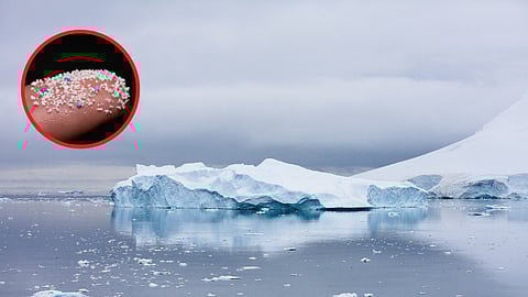 அண்டார்டிக்கா