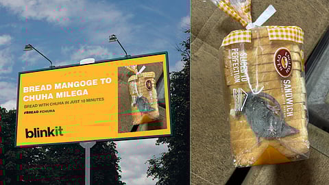 ஆர்டர் செய்து வாங்கிய பிரட் பாக்கெட்டில் உயிருடன் இருந்த எலி - அதிர்ந்த வாடிக்கையாளர்