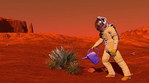 Nasa : செவ்வாய் கிரகத்தில் வசிக்கப்போகும் 4 பேர் - புதிய ஆய்வி பற்றிய சுவாரஸ்ய தகவல்கள்