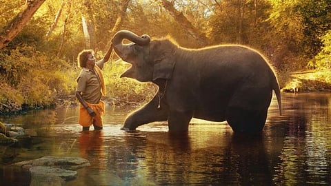 Elephant Whisperers போல யானையை மையப்படுத்தி எடுத்த தமிழ் திரைப்படங்கள் குறித்து தெரியுமா?