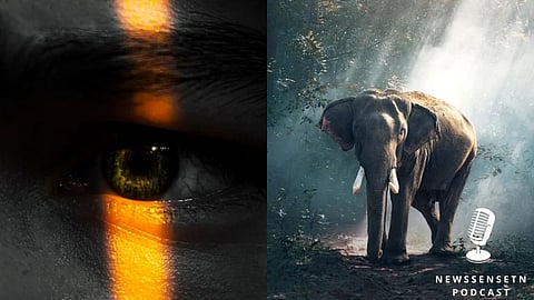 குதிக்க தெரியாத விலங்கு, கெட்டுப்போகாத உணவு என 20 சுவாரஸ்ய தகவல்கள் |Podcast