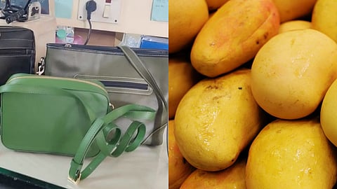 Chennai: CLRI scientists make 'leather' out of mango
