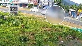 ACCIDENT