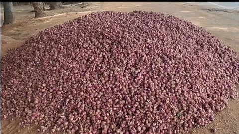 THENI ONION