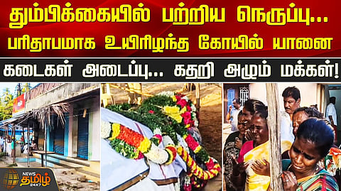 யானை சுப்புலட்சுமி உயிரிழப்பு