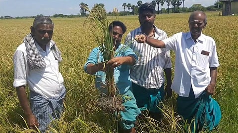 THIRUVARUR