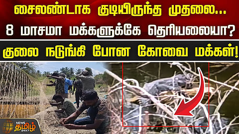 குட்டையில் முதலை