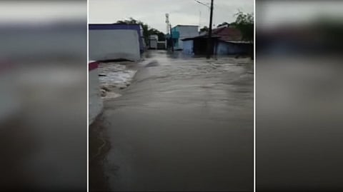 செக்காரக்குடி, தூத்துக்குடி