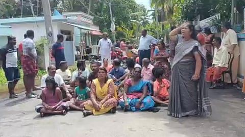 தேனாந்தோட்டம், கன்னியாகுமரி