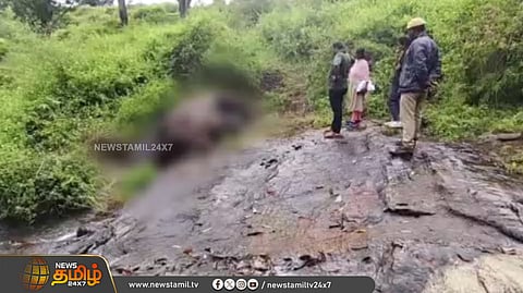 கொடைக்கானல், திண்டுக்கல்