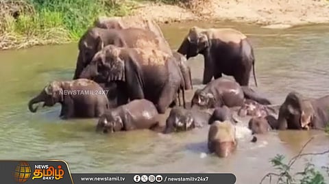 திப்பசந்திரம், கிருஷ்ணகிரி