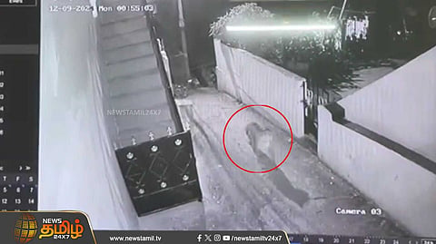 22