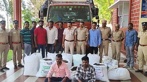 weed news tambaram