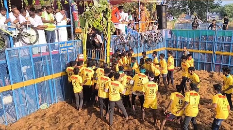 TNJ Jallikattu