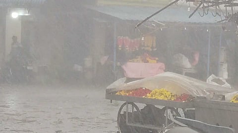 கிருஷ்ணகிரி