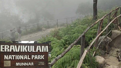 கேரளா - மூணாறு