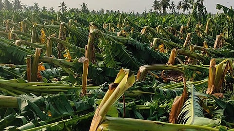 சிறுமுகை, கோவை